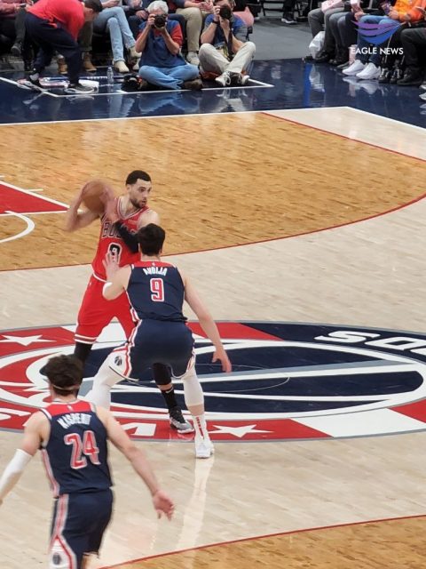 washington wizards cherry blossom court